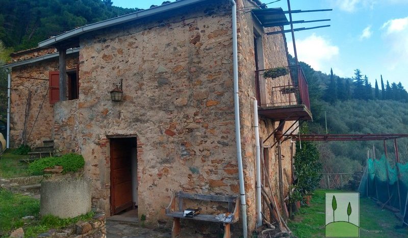 farmhouse for renovation in Buti Tuscany