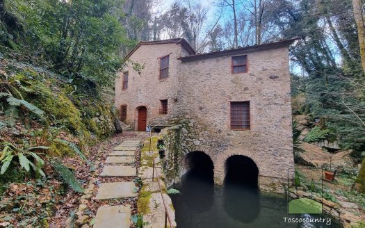 mill for sale tuscany