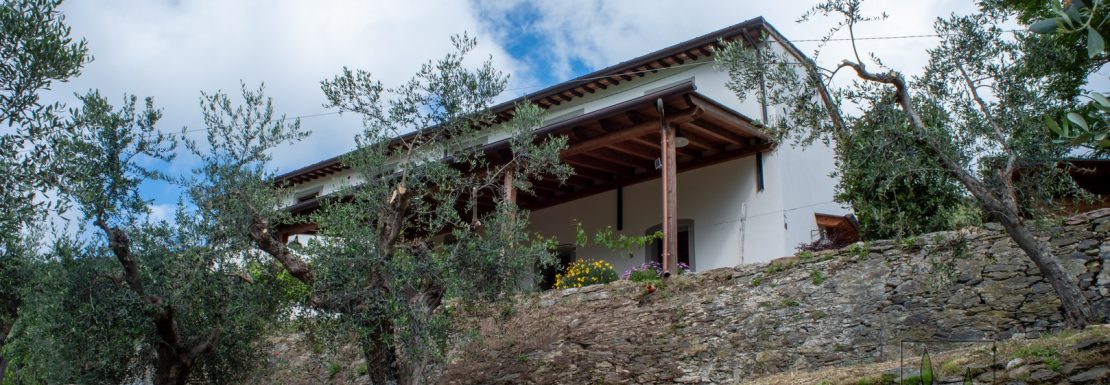 casolare vendita calci proprietà vendita calci oliveta