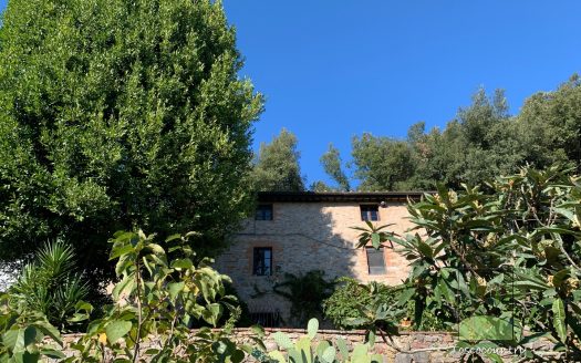 rustico in pietra vendita camaiore toscana
